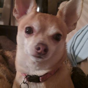 Meet your Posher, Tammy